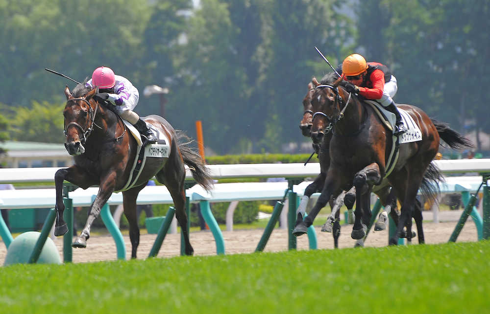 ＜札幌５Ｒ新馬戦＞デビュー戦を勝利で飾ったペプチドオーキッド（左）