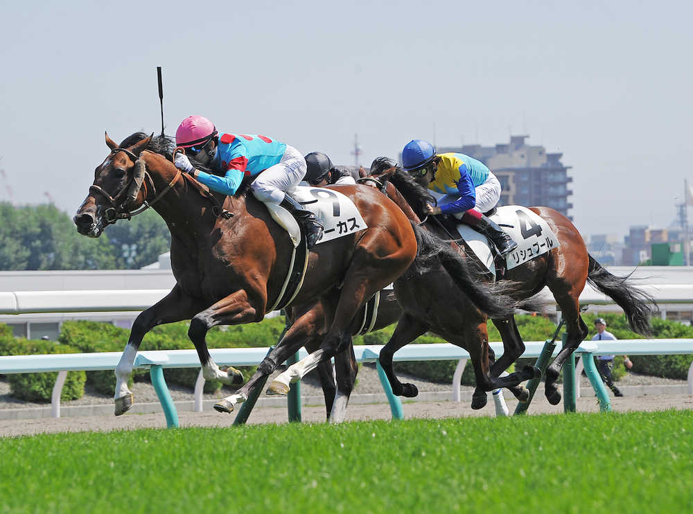 ＜札幌５Ｒ新馬戦＞新馬戦で勝利を飾ったルーカス