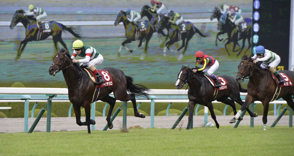 神戸新聞杯で直線差し切って勝利したルメール騎乗のレイデオロ（左）