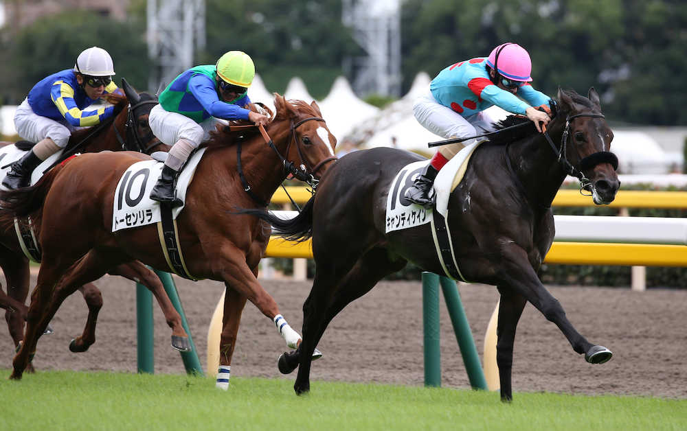 ルメールを背に東京５Ｒ新馬戦を制したキャンディケイン（右）