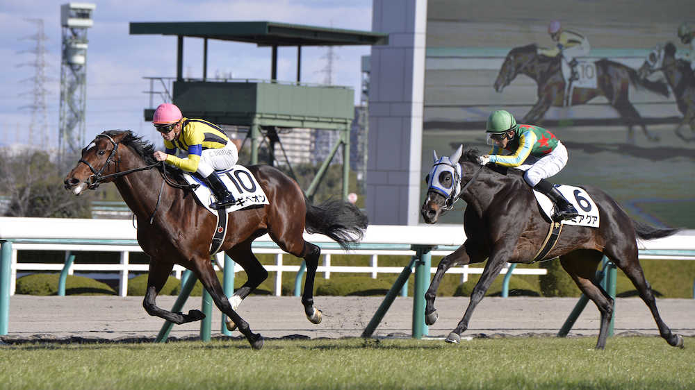 阪神５Ｒ新馬戦で直線逃げ切り勝利したＣ．デムーロ騎手騎乗のギベオン（左）