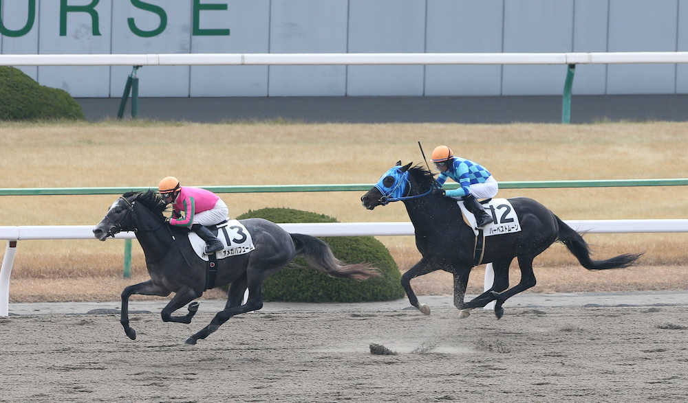 ＜京都４Ｒ＞Ｍ・デムーロを背に新馬戦を快勝するオメガパフューム（左）