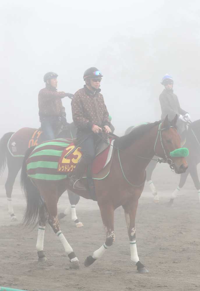 濃霧の中、馬場入りするレッドレグナント