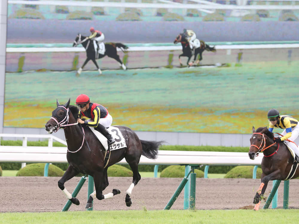 ＜阪神５Ｒ＞逃げ切り、新馬戦を快勝したエクザルフ（左）（撮影・平嶋　理子）