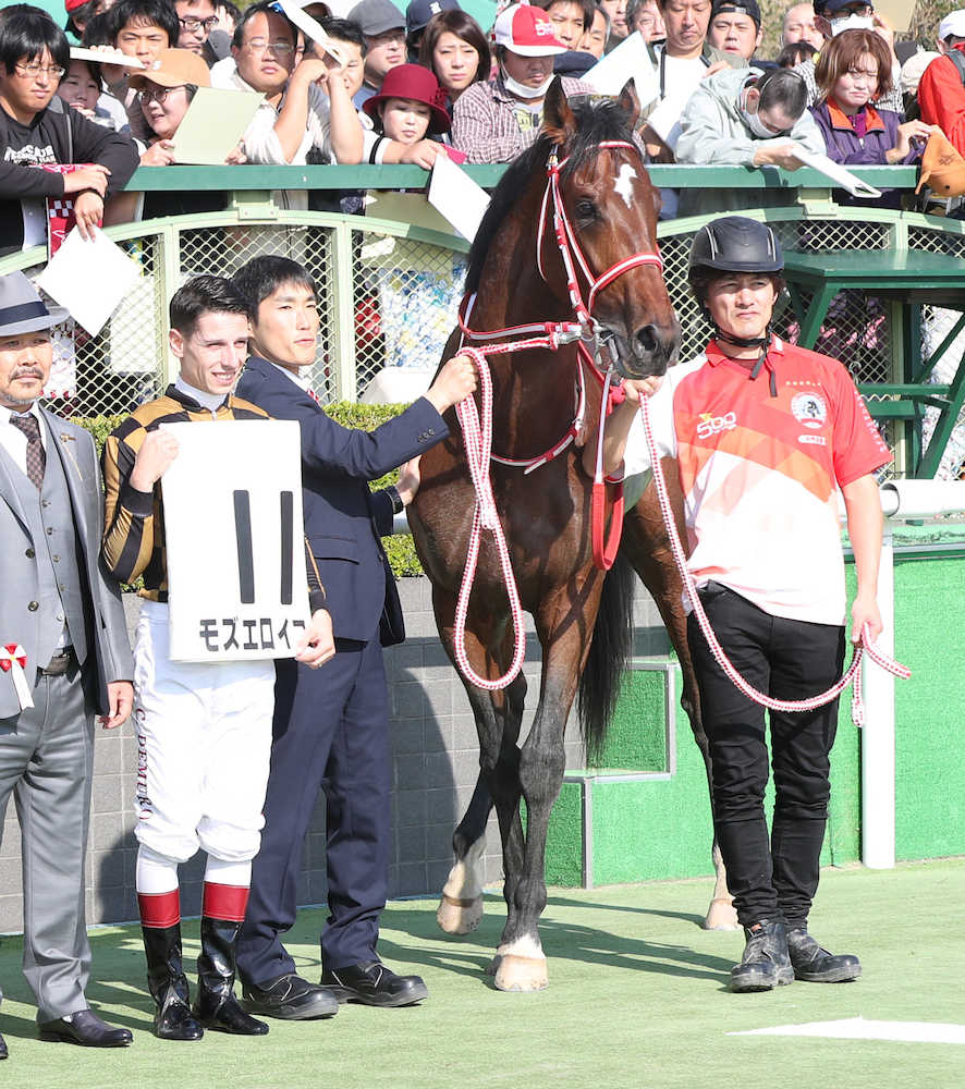 ＜京都１Ｒ＞モズエロイカで勝利したＣ・デムーロ（左から２人目）（撮影・平嶋　理子）