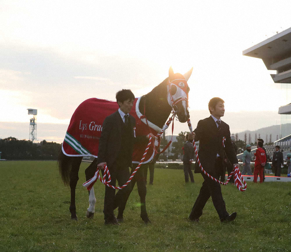 ＜京都競馬＞引退式で夕陽を浴びながら歩くリスグラシュー（撮影・奥　調）