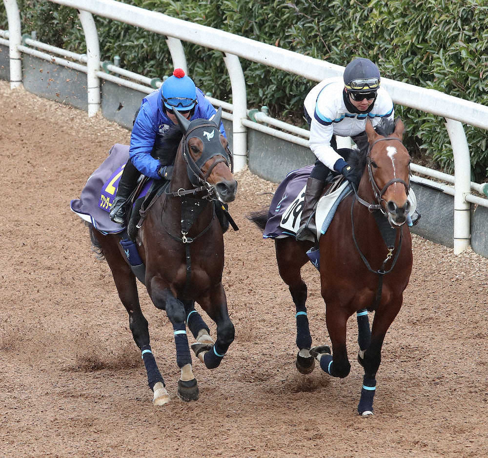 藤井勘一郎騎手を背に坂路で併せ馬で追い切るワンダーリーデル（左）