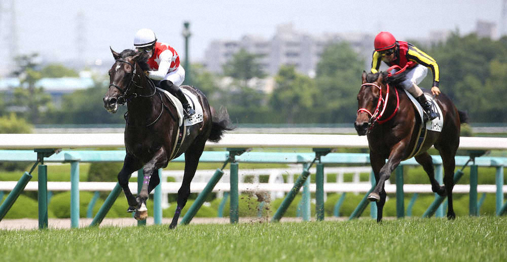 ＜阪神5R・2歳新馬＞　グルーヴビートを振り切り勝利するステラヴェローチェ（左）　（撮影・亀井　直樹）