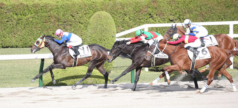 ＜阪神6R・2歳新馬＞ゴール前で後続を振り切り勝利するロードエルピス（左）（撮影・亀井　直樹）