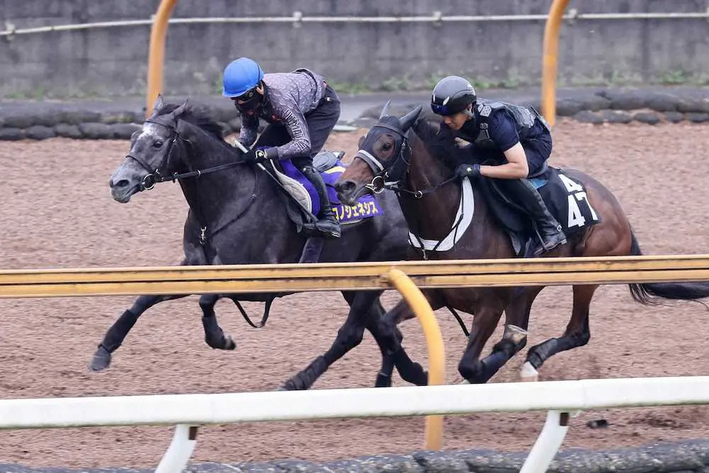 岩田望（レースはルメール）が乗り、CWコース併せ馬で気合いを入れられたクロノジェネシス（左）。　（右はジェラルディーナ）
