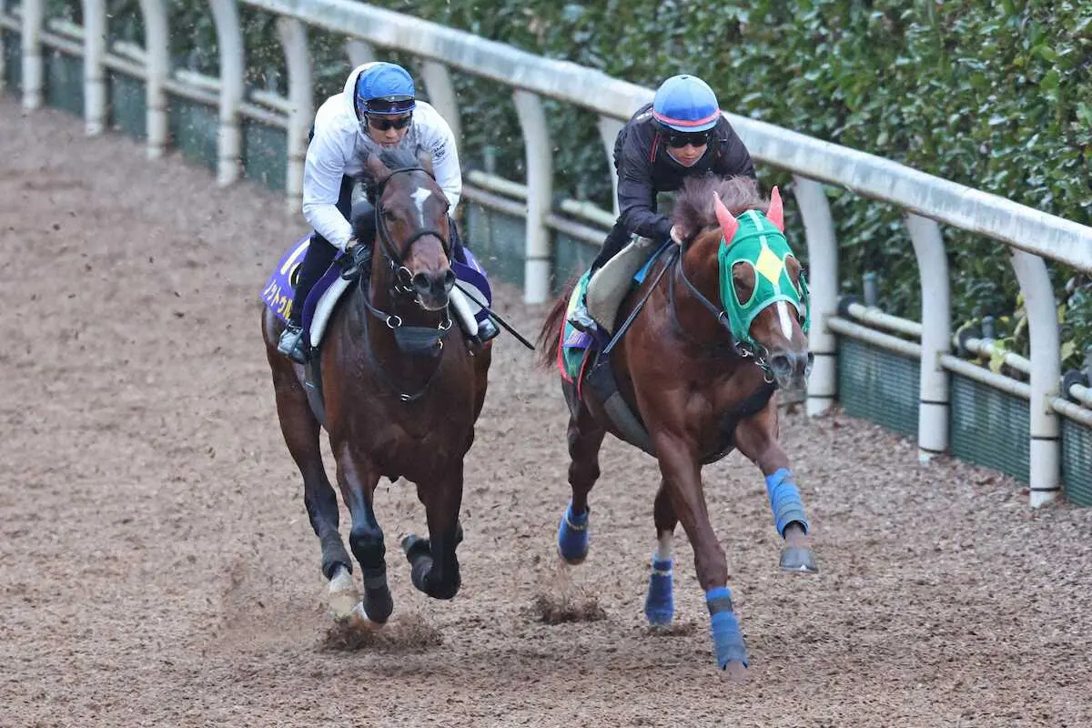 武豊騎乗のノットゥルノは、同じ厩舎のサンライズノヴァと馬体を併せて坂路を駆け上がる