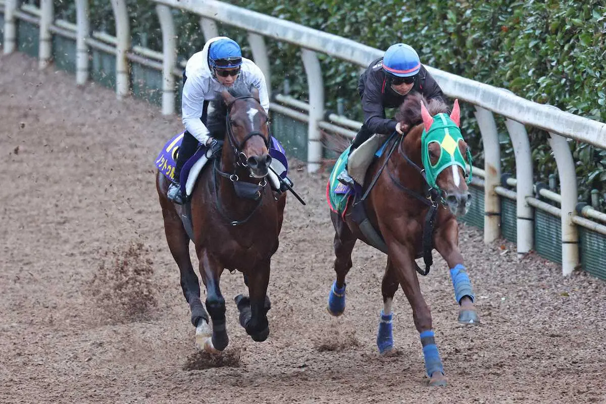 武豊騎乗のノットゥルノ（左）は、同じ厩舎のサンライズノヴァと馬体を併せて坂路を駆け上がる