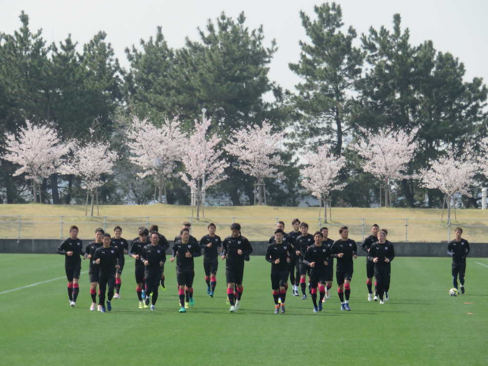 桜の咲く練習場でランニングをするＣ大阪イレブン