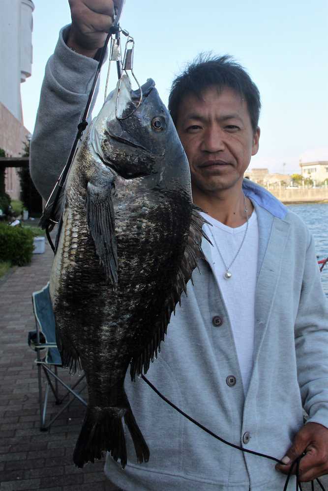 鈴木さんは５１センチのクロダイ。内海でもこのサイズが狙える