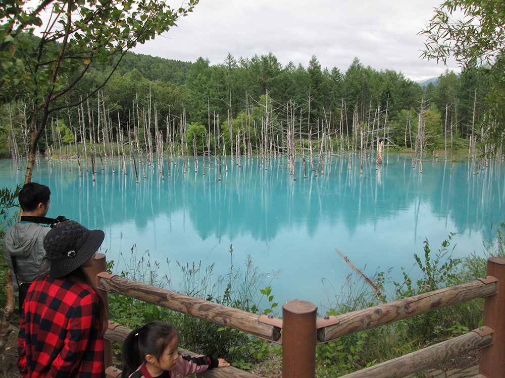 神秘的かつ幻想的な美しさの「青い池」若い女性客も見とれるばかり