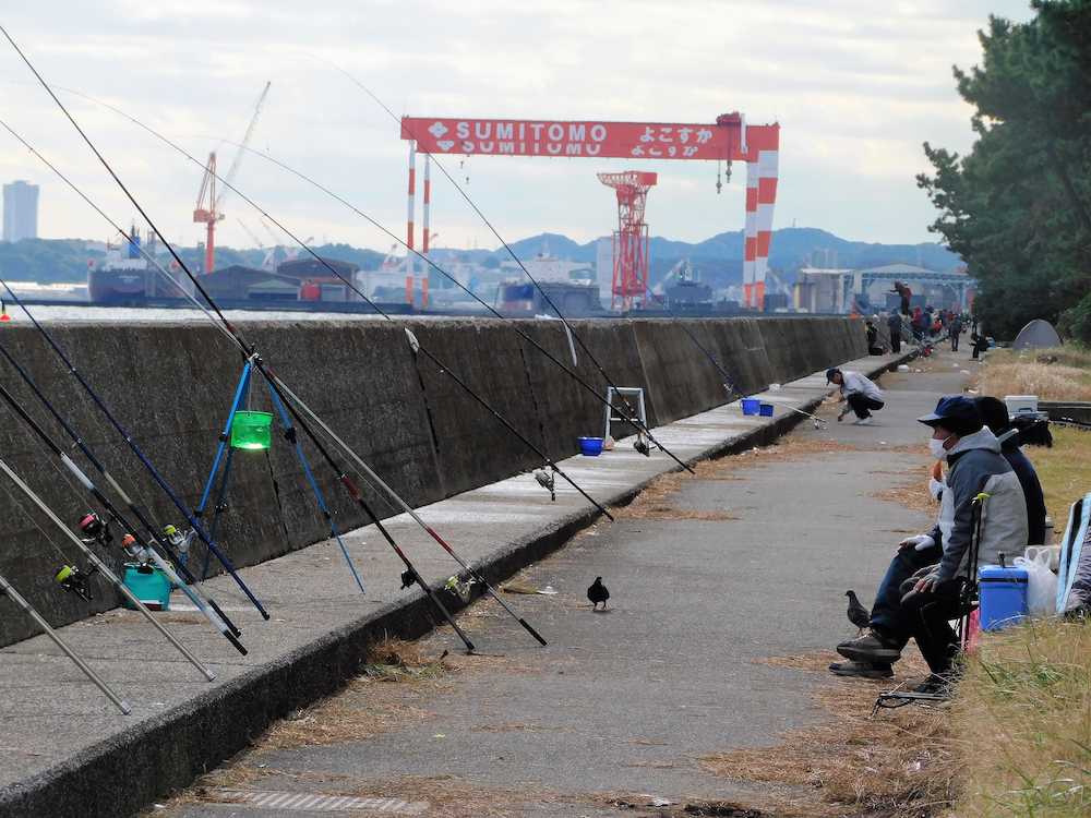 投げ釣りが盛んな福浦岸壁　　　　　　　　　　