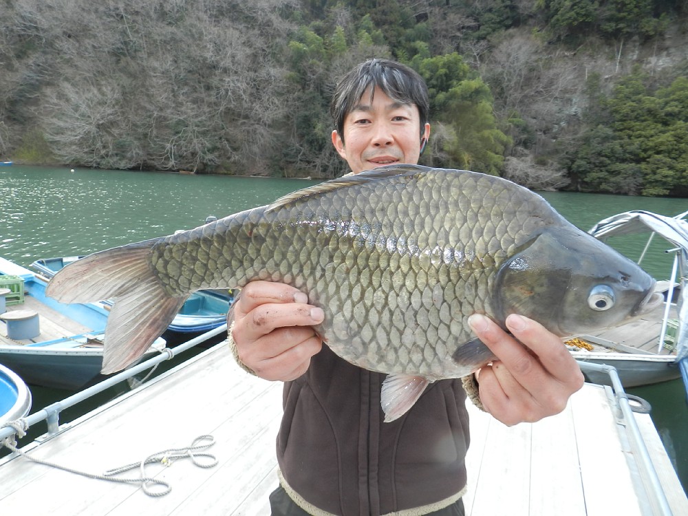 岩浅さんは５０センチ近い巨ベラを釣り上げた