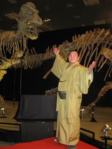 大恐竜展ゴビ砂漠の驚異で恐竜の化石の前で手を広げる白鵬。広報大使に就任された