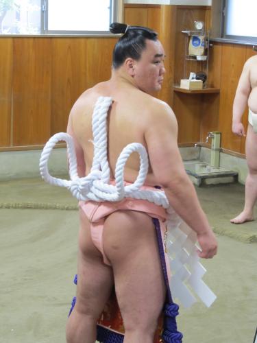 新しい綱を身につける日馬富士