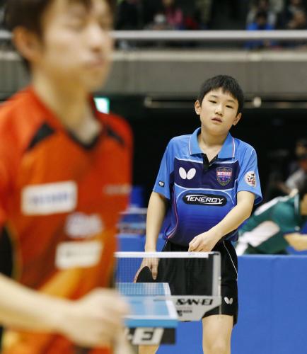 男子シングルス４回戦で丹羽孝希（手前）に敗れた小学６年生の張本智和