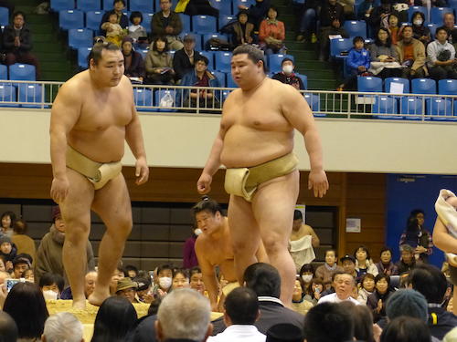 熊本出身の正代が、ぶつかり稽古で鶴竜（左）に胸を出してもらう
