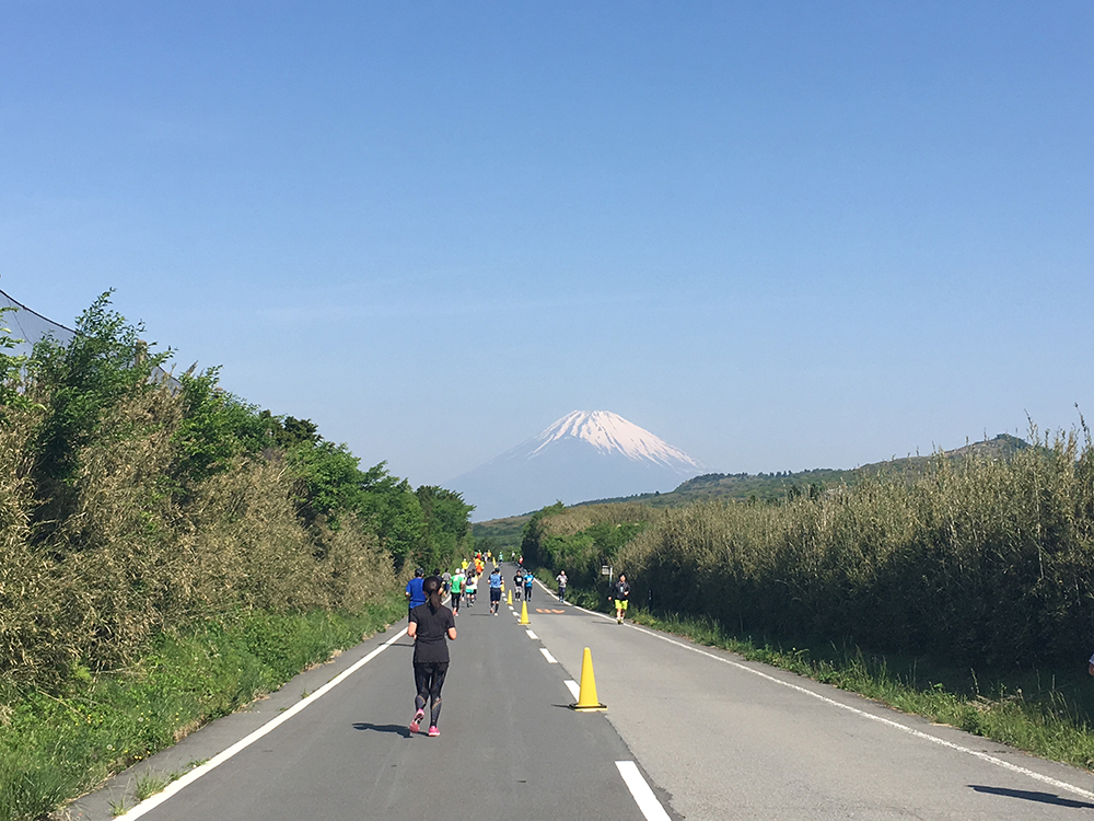 富士山を眺める絶景コース富士ビューラン