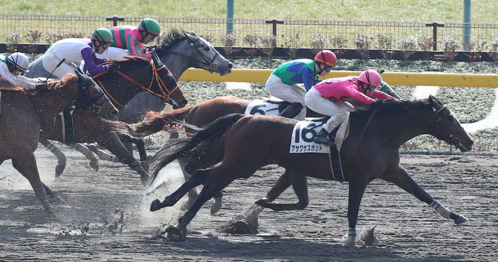 東京４Ｒ新馬戦で大外一気の差し切り勝ちで新馬戦を制したアサクサスポット（右）