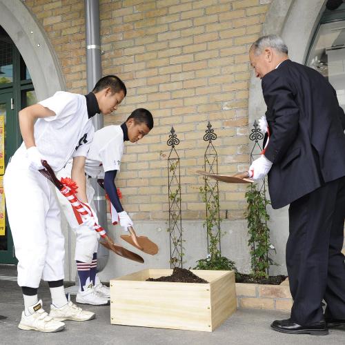甲子園球場で行われたツタの里帰りセレモニーで、記念植樹をする高校生と日本高野連の脇村春夫会長