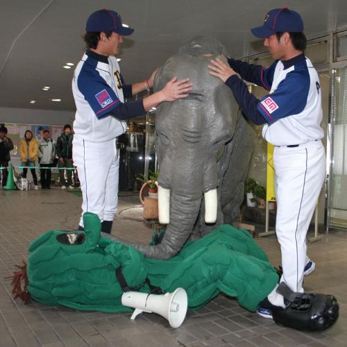 オリックス坂口（左）と赤田（右）は楽天のマスコット・「超特大ゴーヤ」が象に踏みつけられるのを助ける