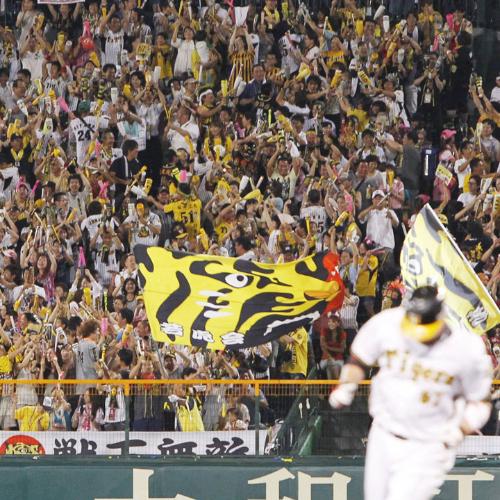 ８回、ブラゼル（手前）の本塁打に沸くライトスタンドの阪神ファン
