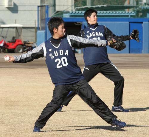 新人合同練習でキャッチボールする須田（手前）と加賀美