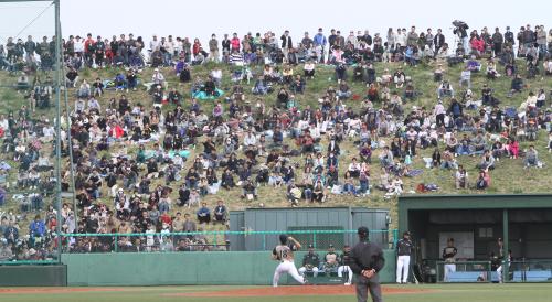 ＜ヤ・日＞斎藤を見ようと球場横の土手に大勢の人が集まった
