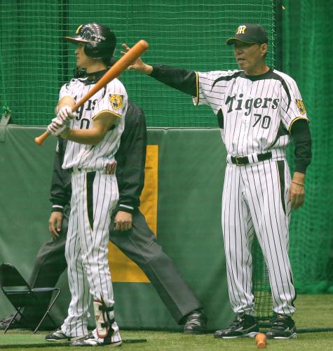 秋季練習で大和（左）を指導する阪神・水谷チーフ打撃コーチ