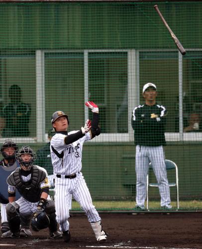 阪神・新井良はシート打撃で能見から左越え本塁打を放つ