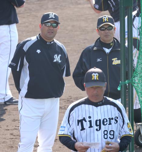 ＜神・ロ＞試合前、ロッテ・伊東監督（左）は阪神・和田監督と話す