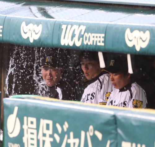 西岡のいたずらでベンチの屋根にたまった水が落ち、阪神の（左から）森田、新井良、北條はビックリ