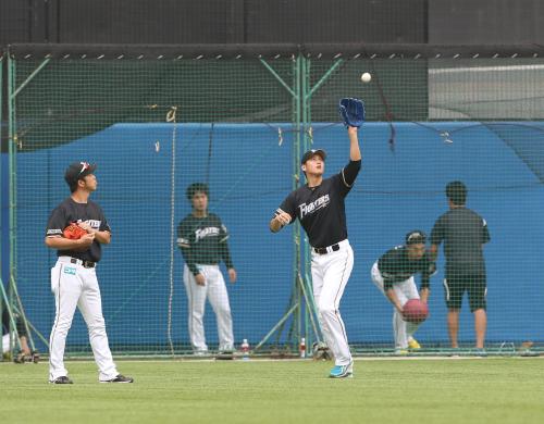 ＜ロ・日＞練習中、大谷（右手前）は飛んできた打球を捕球する