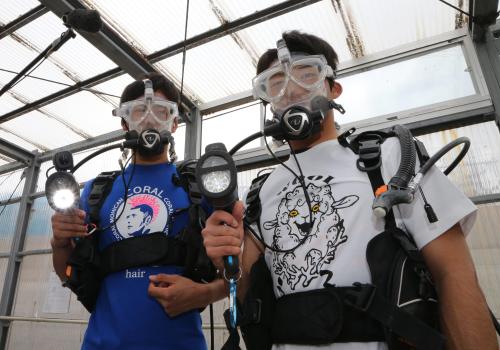 サンゴ養殖施設でダイバーの装備を装着する杉浦（左）と西浦