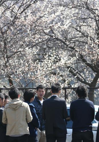 梅の花を背に報道陣に囲まれる大竹（中央）