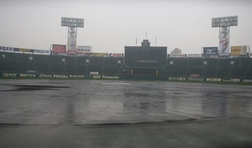 甲子園球場のグラウンドは雨で水たまりが出来ていた