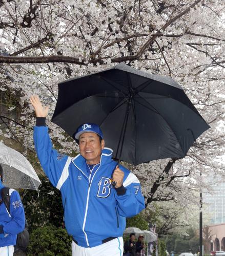 室内練習に桜を背に傘をさし移動する中畑監督