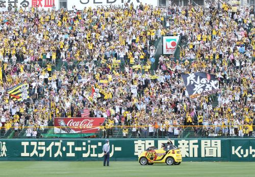 ＜神・Ｄ＞完封勝利のメッセンジャーに声援を送る阪神ファン