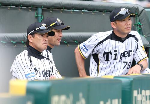 ＜神・中＞９回、ベンチで厳しい表情の（左から）和田監督、吉竹コーチ、関川コーチ