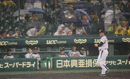 ＜神・ヤ＞突然の豪雨を見つめる和田監督（右から２人目）ら阪神ベンチ