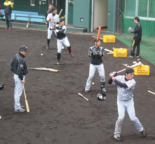 異例の試合後練習で、（右から）江越、梅野、陽川、中谷に厳しい視線を送る和田監督（左端）