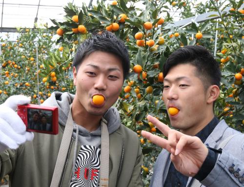 金柑収穫体験で自撮りする横山（左）と岡田