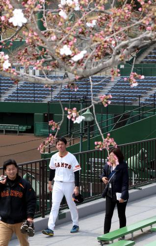一分咲きの桜を見つめながら引き揚げる桜井。試合で満開の花を咲かせる構えだ