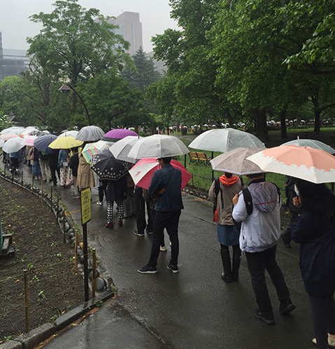 清原被告の初公判で、傍聴券抽選の整理券を求め並ぶ人たち＝17日午前、東京・日比谷公園
