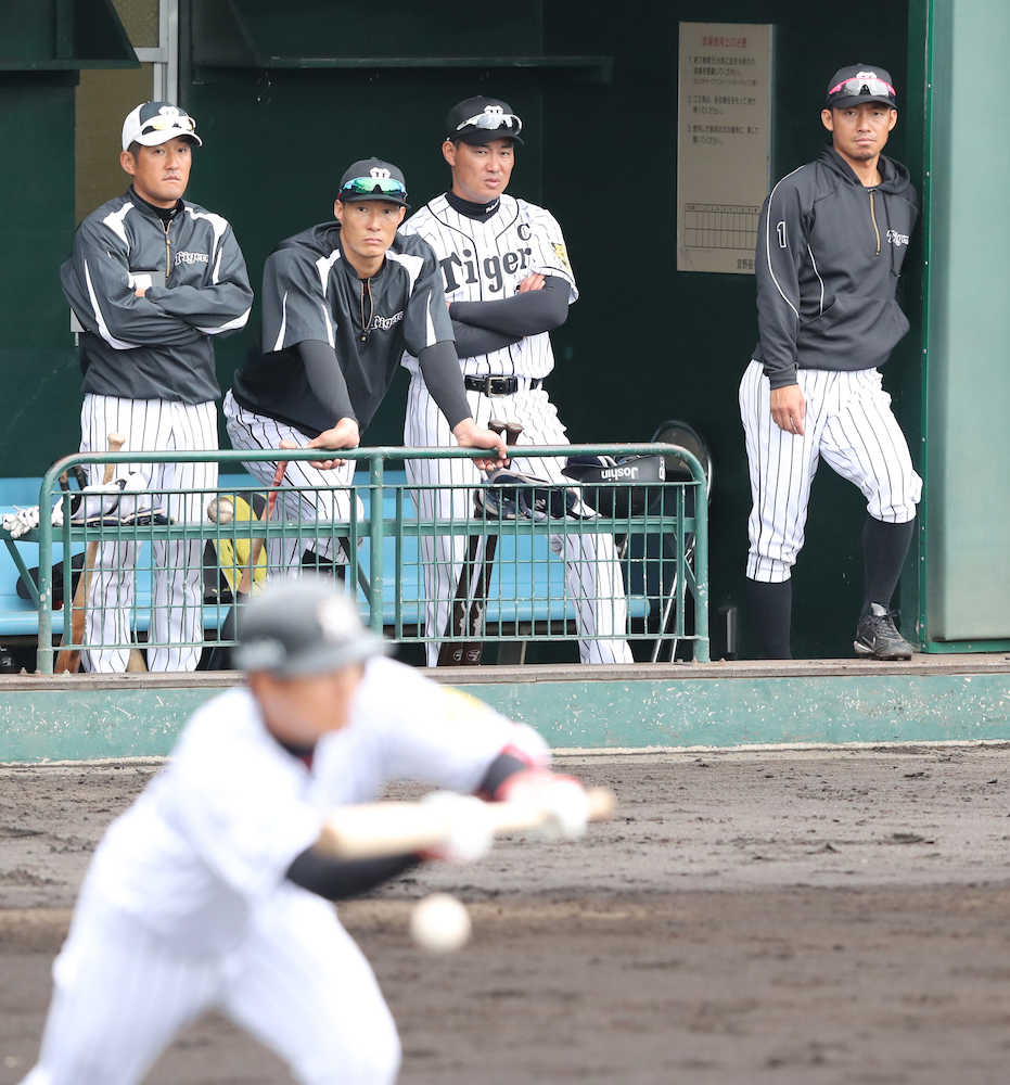 “ベンチ入り”し、ケース打撃を見守る（左から）平野コーチ、糸井、福留