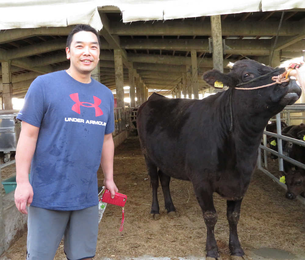 伊江島の牛の横で笑顔を見せる巨人・阿部